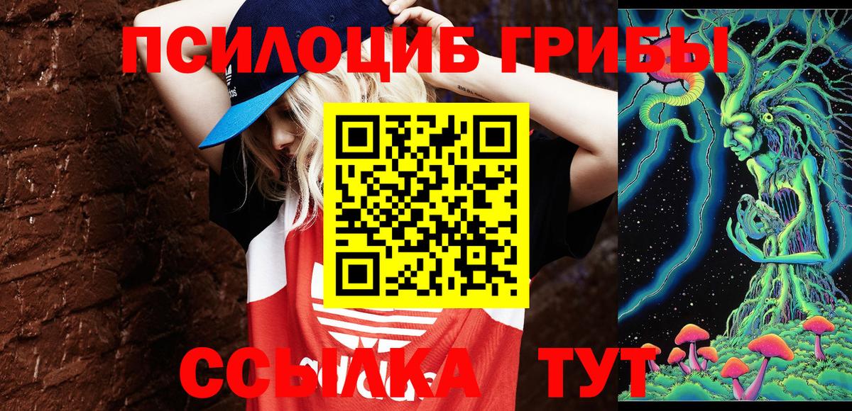 Галлюциногенные грибы Psilocybe  Вход с VPN  Галлюциногенные грибы Cubensis  Лысьва 