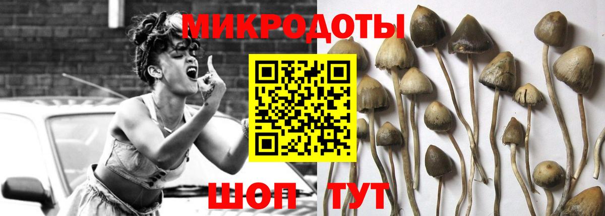 Галлюциногенные грибы прущие грибы Лысьва
