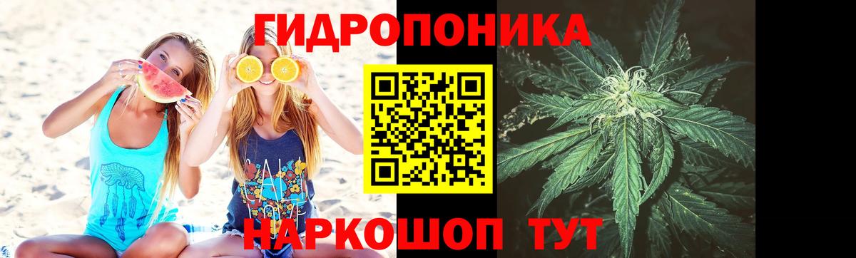 МАРИХУАНА сатива  Вход с VPN  Марихуана White Widow  Лысьва  Марихуана планчик  Бошки Шишки LSD WEED 